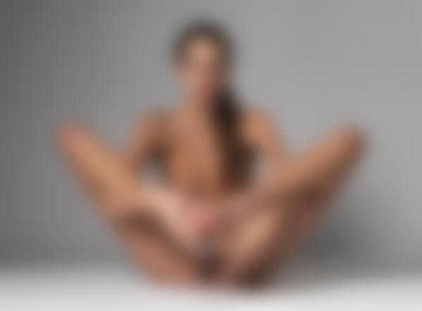 ギャラリー8の画像番号シルビー　紹介